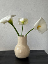 Load image into Gallery viewer, CARMELA Vase #2